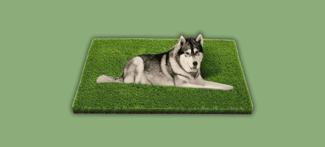 Durable & Safe Artificial Grass for Dogs