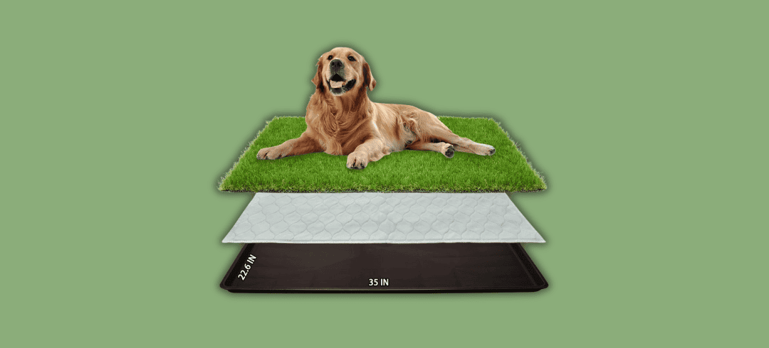 Durable & Safe Artificial Grass for Dogs