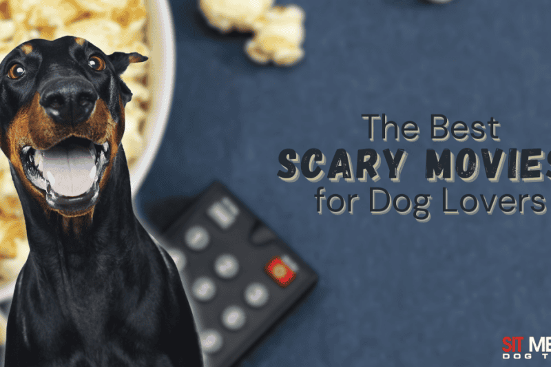 Top 6 Movies for Dog Lovers This Spooky Season