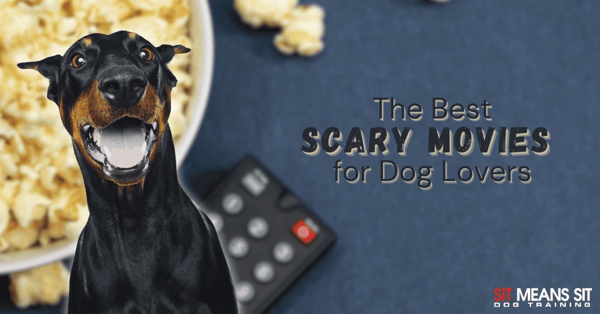 Top 6 Movies for Dog Lovers This Spooky Season